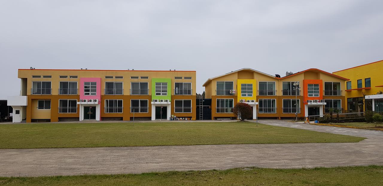 Geomunoreum Hostel Jeju Exteriör bild